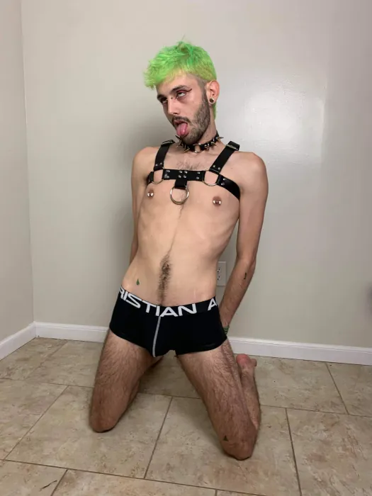 Jacksonharrison, Girlfriend Experience OnlyFans creator, profile photo